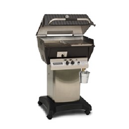 Broilmaster Qrave Grill Head LP